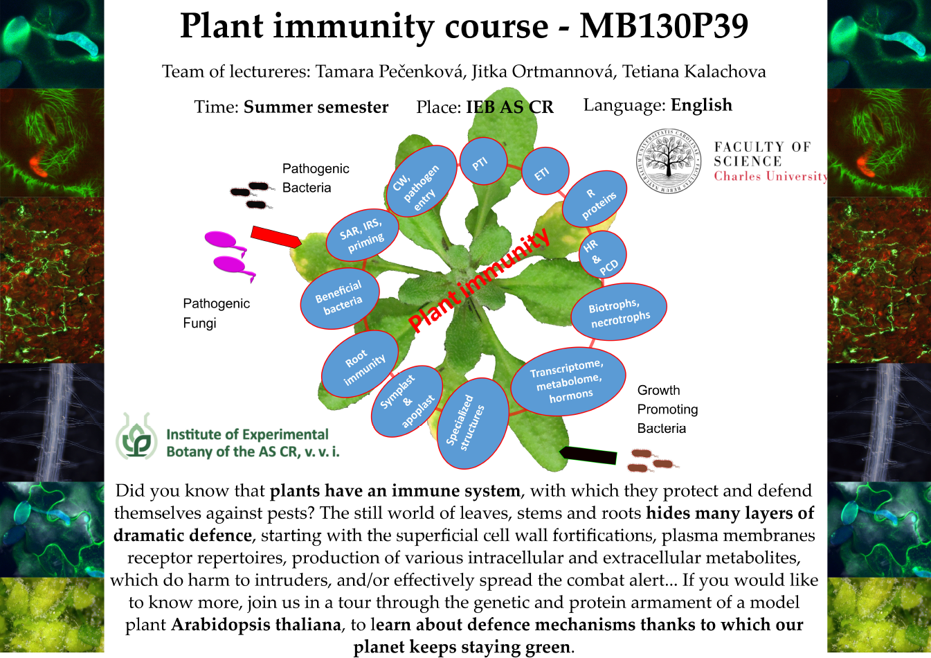 Plant_immunity_course.png