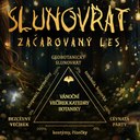 Slunovrat, Christmas party 2023