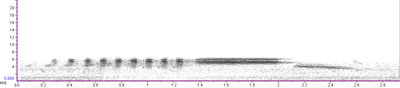 spektrogram dialektu strnada BE po zkreslení