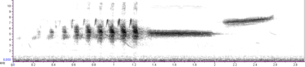 spektrogram dialektu strnada BE