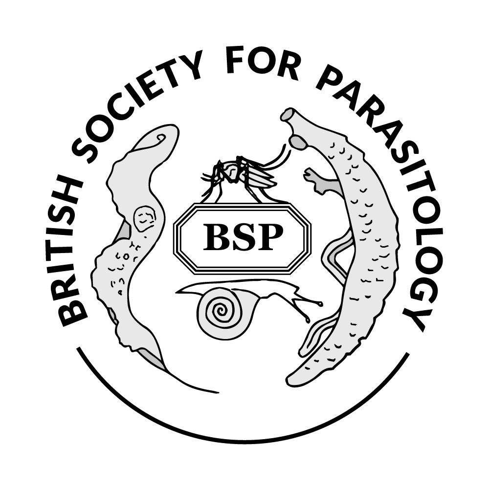 bsp-logo.png