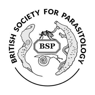 bsp-logo.png
