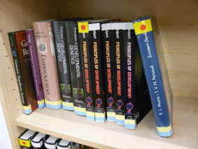 Tagged Books in Biological Library