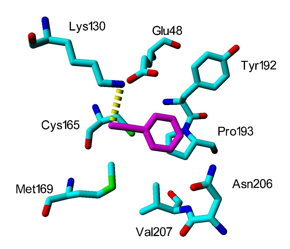 Enzymová aktivita plísňových nitrilas není strukturně vázaná na tvorbu heterogenních trubic