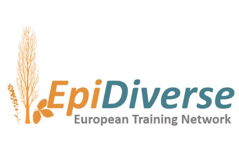 Do not look past! The Epidiverse project is hiring: 15 vacancies for a PhD position at the partner institutes all over Europe.