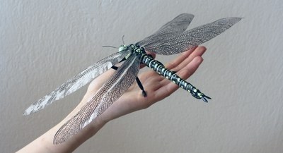 Giant dragonflies and their way of life – reconstruction based on fossil findings