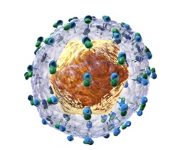How can we analyse Hepatitis C virus variants?