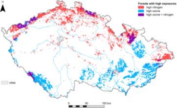 Where are Czech forests under potential risk due to the highest O3 exposures and N deposition? 