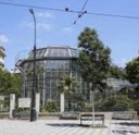 Botanická zahrada hospodaří s dešťovou vodou