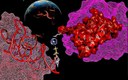 Nový pohled na vývoj raných interakcí mezi proteiny a RNA