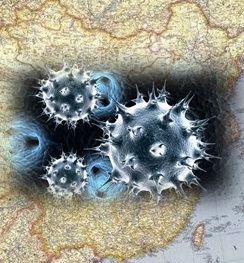 Veřejná diskuse: Koronaviry, Wu-Chan, Čína