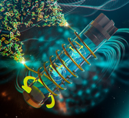 Vícerozměrná NMR spektroskopie pevné fáze pro studium struktury proteinů