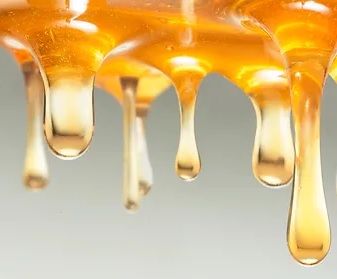  Čeští vědci vyvinuli metodu na odhalení pančovaného medu