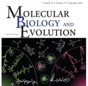 Článek našich botaniků v prestižním časopise Molecular Biology and Evolution