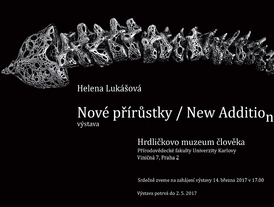 Výstava NOVÉ PŘÍRUSTKY / NEW ADDITIONS v Hrdličkově muzeu člověka