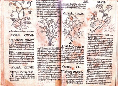 Starý herbář ze 16. století