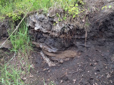 Toxické sedimenty na odkališti.