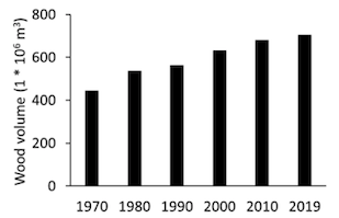 Graf nárůstu objemu dřeva v lesích v posledních letech