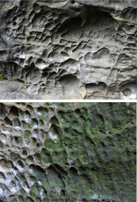 POPULAR SCIENCE: How are holes in sandstone formed?