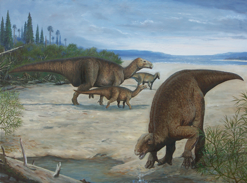 Iguanodontid