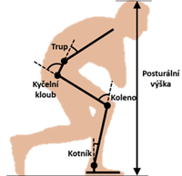 Upravené schéma polohy těla při přikrčené chůzi. Zdroj: původní článek