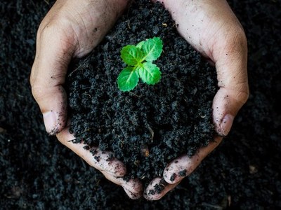 Image of hands holding compost.jpg