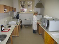 Laboratoř s analyzátory ELTRA a AMA 254