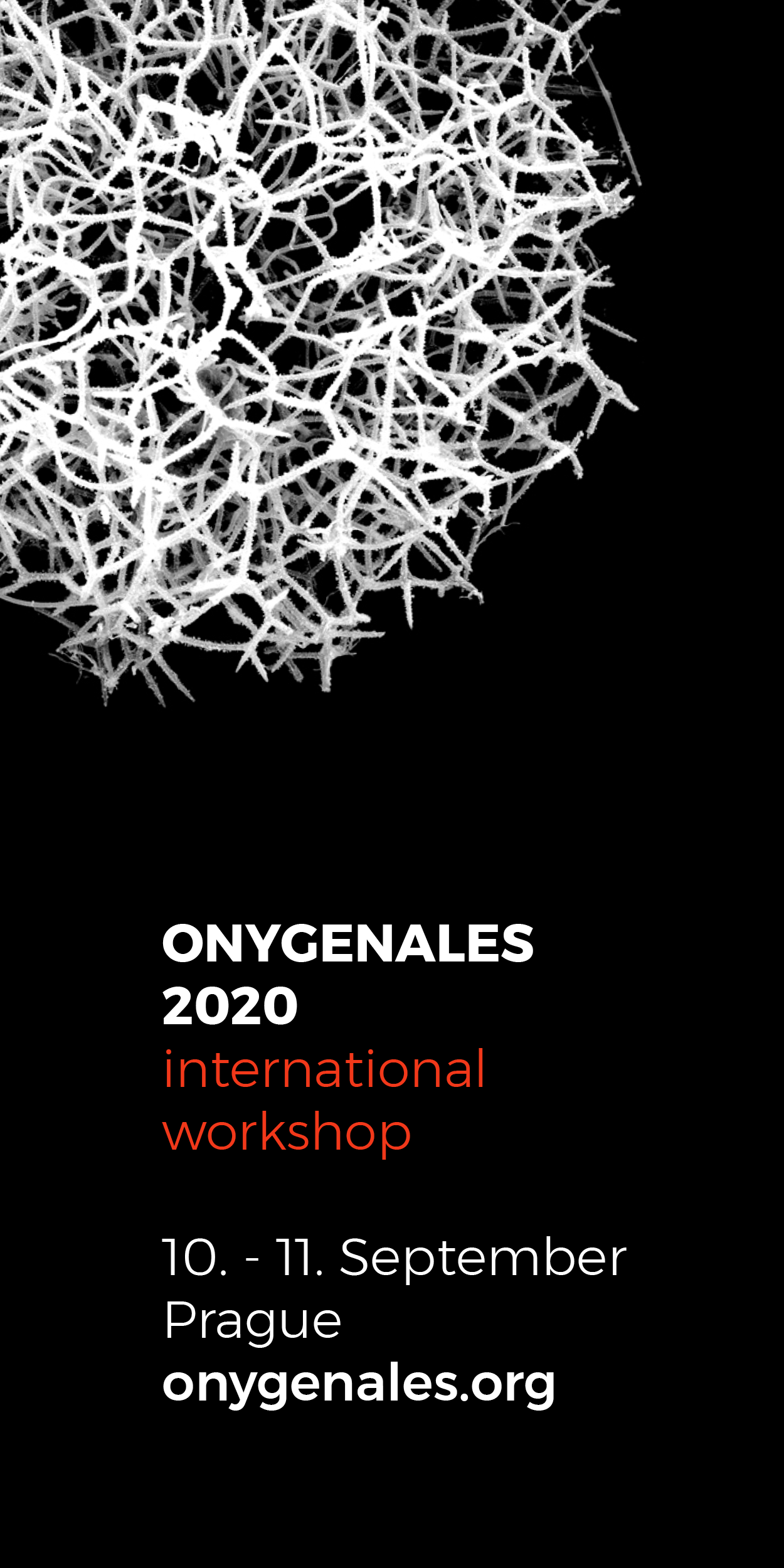 Workshop ONYGENALES 2020