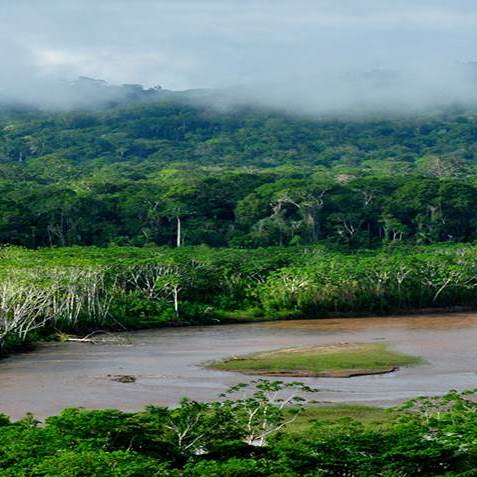Pre-Colombian land use and environment in the Bolivian Amazon